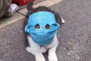 Эпидемию коронавируса в Китае могли просто не заметить