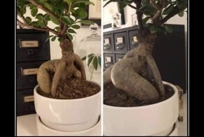 Порция зажигательных демов, сделанных с любовью