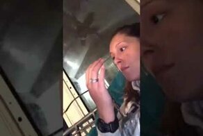 Селфи с собакой не удалось