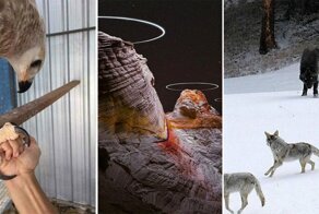 Удивительные снимки, которые почти никто из нас не видел