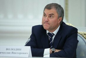 Володин предложил за нарушение карантина выписывать до 7 лет общего режима