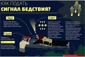 25 шпаргалок, которые могут спасти жизнь