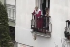 Сербская старушка придумала необычный способ выгуливать собаку во время карантина