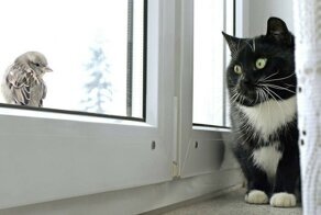 Фотоподборка