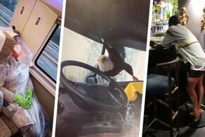 Снимки, на которых происходит неведомая дичь