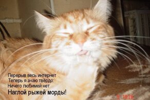 Кискоюмор