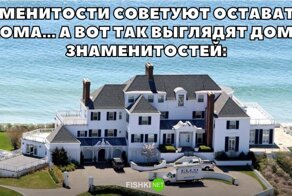 Мемы, посвященные раздражающему поведению знаменитостей во время карантина