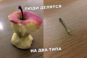 Подборка приколов