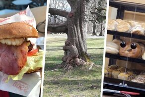 Фотоиллюзии, которые заставят протереть глаза и посмотреть на всё дважды