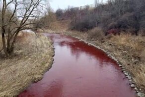 Красный ручей в Канаде напугал местных жителей