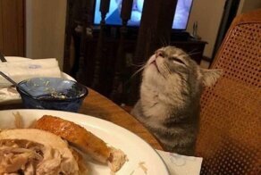 С добрым утром!