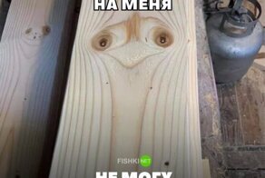 Немного весёлых картинок