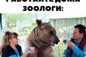 Прикольные и смешные картинки