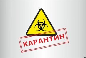 О последствиях карантина