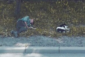 Жизнь Польши в Google Street View