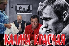Стрельба конвоира в Шукшина и слёзы Брежнева. Неизвестные факты о фильме "Калина красная"