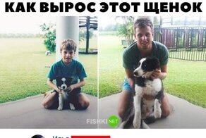 Смешные комментарии и картинки из соцсетей