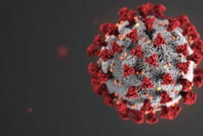 Вопросы и ответы о коронавирусной инфекции COVID-19