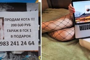 Боги маркетинга, способные продать даже кота с гаражом