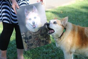 С добрым утром!