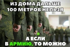 Свежие мемы и картинки поднимающие настроение