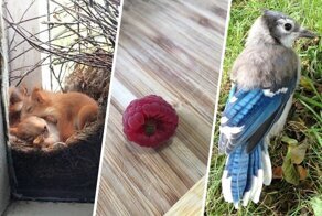 Случаи, когда люди поделились своей маленькой радостью – они узнали нечто новое!