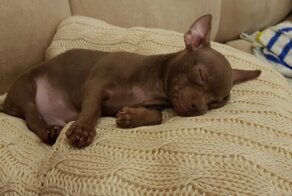 Было - стало