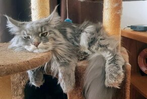 С добрым утром!