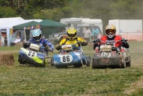 Мировой чемпионат по гонкам на газонокосилках (23 фото)