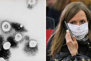 Как коронавирус атакует тело: почему одни выздоравливают, а другие нет