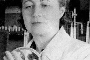 Победа над невидимым врагом. Эпидемиология Великой Отечественной