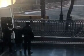 С собакой на Патриарших. Полиция пояснила свои действия