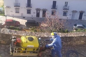 Испанский городок не пустил к себе коронавирус