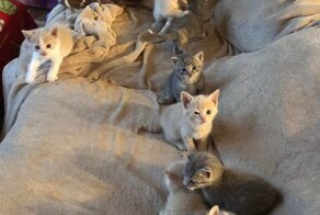 Отличного воскресного вечера, приятного отдыха