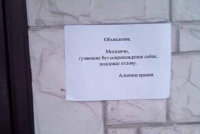 Объявления эпохи коронавируса