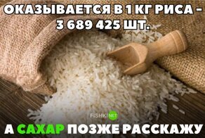 Смешные картинки из соц сетей