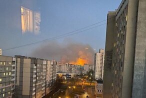 В Гомеле горела трава. Выглядело угрожающе