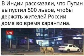 Новые фейкометчки, которых надо загнать под лавку