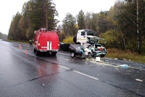 Семейная пара погибла в столкновении с КамАЗом на трассе в Челябинской области