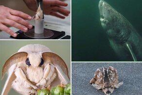 Фотографии, которые мгновенно расширят кругозор и изменят представление о нашем мире