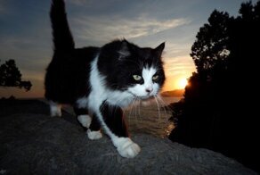 С добрым утром!