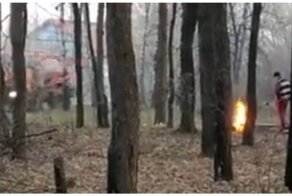 Мужчина попытался пожарить шашлыки в лесу во время карантина