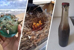 Потрясающие вещицы, найденные совершенно случайно