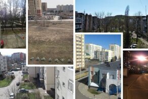 Оконный дозор. Самоизоляция в разных городах глазами фишкян