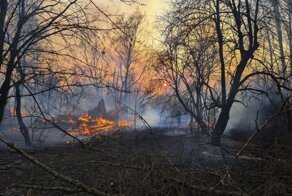 В зоне отчуждения в Чернобыле тушат сильный пожар - радиационный фон превышает норму