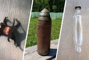 Удивительные штуки, которые поставят в тупик даже бывалого знатока