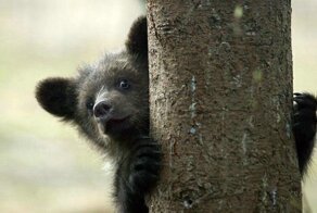 С добрым утром!