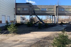 Сильный ветер в Омске снес крыши с домов и вырвал деревья с корнем