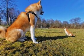 16 вещей, которые удивят вас до глубины души!
