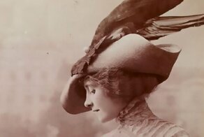 Шляпка от таксидермиста